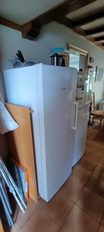 Diepvries Bosch No-Frost, Electroménager, Réfrigérateurs & Frigos, 140 à 160 cm, Enlèvement, 45 à 60 cm, Utilisé