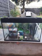 Aquarium 125L juwel Full equipement, Dieren en Toebehoren, Ophalen, Gebruikt
