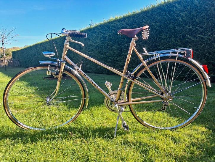 Batavus Intercycle Sprint IC, Fietsen en Brommers, Fietsen | Oldtimers, Ophalen