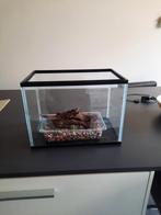 Aquarium, Ophalen, Gebruikt