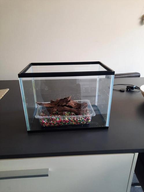 Aquarium, Dieren en Toebehoren, Vissen | Aquaria en Toebehoren, Gebruikt, Ophalen