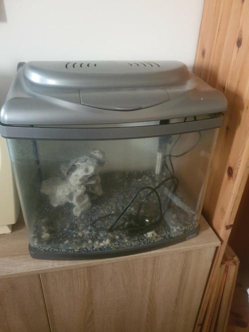 Te koop wegens verhuizing !!, Dieren en Toebehoren, Vissen | Aquaria en Toebehoren, Zo goed als nieuw, Ophalen