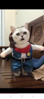 Cute kat kleren, Ophalen of Verzenden, Zo goed als nieuw