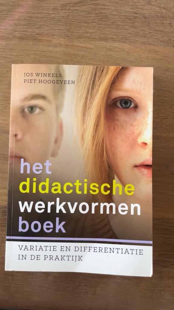 Piet Hoogeveen - Het didactische werkvormenboek, Boeken, Wetenschap, Ophalen