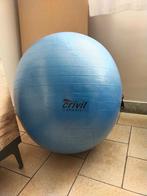 Ballon de fitness + extenseurs, diamètre 65 cm - CRIVIT, Ophalen of Verzenden, Zo goed als nieuw, Buik, Fitnessbal
