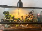 EXO TERRA GLAS TERRARIUM 90 X 45 X 60CM, Dieren en Toebehoren, Ophalen, Zo goed als nieuw