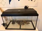 Jewel starters aquarium 60 L met toebehoren & decoratie., Ophalen, Gebruikt