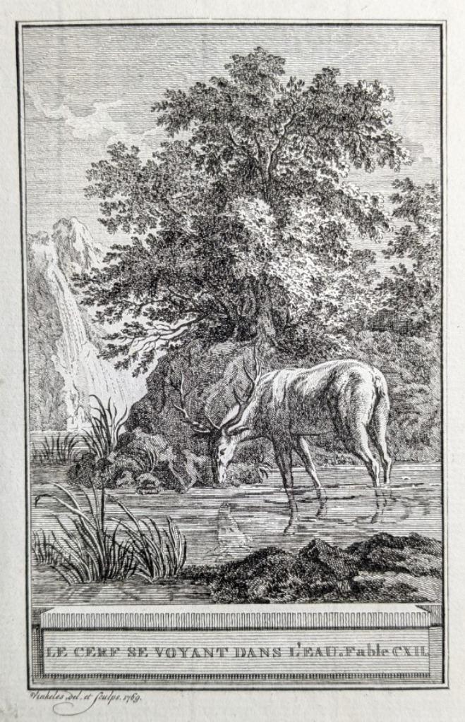 gravure Le Cerf se voyant dans l’eau” uit 1769 - R. vinkeles, Antiek en Kunst, Kunst | Etsen en Gravures, Ophalen of Verzenden