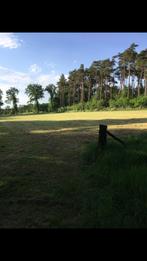 Weide/landbouwgrond te huur, Dieren en Toebehoren, Weidegang