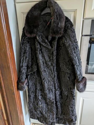 Bontjas perfect voor carnaval beschikbaar voor biedingen