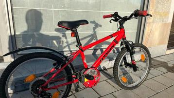 20 inch (tussen 6 jaar en 9 jaar) beschikbaar voor biedingen