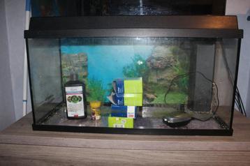Aquarium beschikbaar voor biedingen