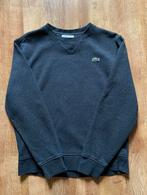 Donkergrijze trui Lacoste S, Kleding | Heren, Lacoste, Ophalen of Verzenden, Zo goed als nieuw, Grijs