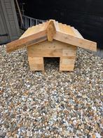Schuilhok, Dieren en Toebehoren, Reptielen en Amfibieën