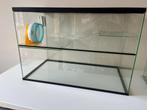 Glazen kooi voor gerbils of hamsters incl accessoires, Kooi, Gebruikt, Minder dan 75 cm, Hamster
