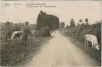 Carte postale ancienne Sugny 1928 Vielle route de Pussemange, Envoi, 1920 à 1940, Affranchie, Namur