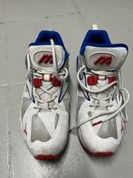 Mizuno basketbal (43), Ophalen of Verzenden, Gebruikt, Schoenen