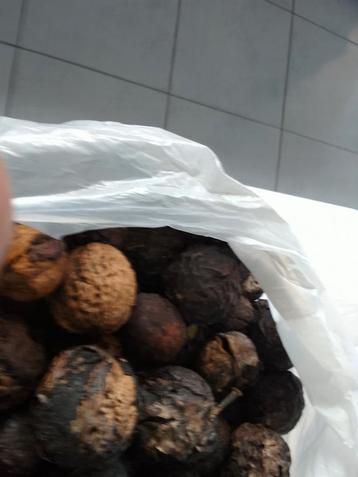 walnoten 2 euro kilo heb 5 kilo is 10 euro cash betalen bij  beschikbaar voor biedingen