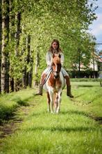 Pony 9 jaar, Dieren en Toebehoren, Paarden