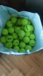 Lot de balles de tennis/padel en grande quantité, Animaux & Accessoires, Enlèvement ou Envoi
