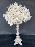 Kandelaar curiosa decoratie interieur koraal decoration, Antiek en Kunst, Ophalen of Verzenden