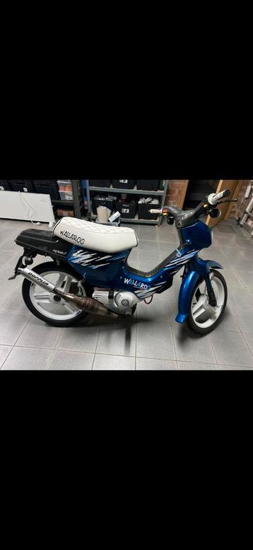 Honda Wallaroo  beschikbaar voor biedingen