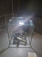 Aquarium superfisch avec pompe et chauffage, Animaux & Accessoires, Enlèvement