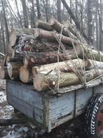 brandhout ( dennenhout ), Ophalen