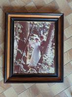 Antieke kader, Huis en Inrichting, Ophalen of Verzenden, Zo goed als nieuw