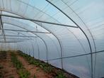 Serre tunnel, Gebruikt, Folie, Kweekkas, Ophalen