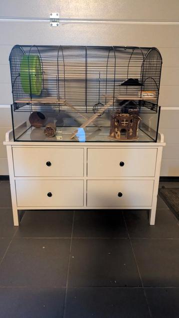 Hamsterkooi met kastje, Dieren en Toebehoren, Ophalen, Zo goed als nieuw