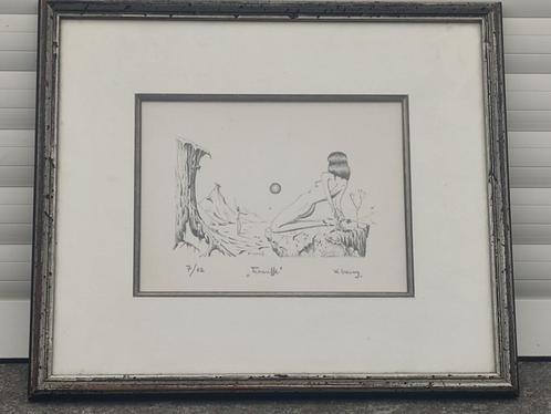 lithographie teneriffe signe w cremers, Antiek en Kunst, Kunst | Litho's en Zeefdrukken, Ophalen of Verzenden