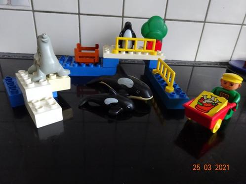 DUPLO LEGO SET 2663-1 - Water Animals VINTAGE*VOLLEDIG*, Enfants & Bébés, Jouets | Duplo & Lego, Duplo, Enlèvement ou Envoi
