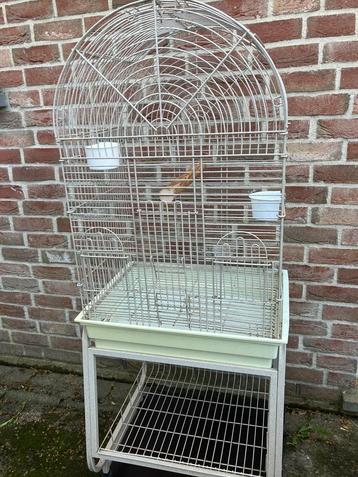 PRIJSJE VOGELKOOI VOOR VALKPARKIET: 90 EURO beschikbaar voor biedingen
