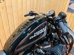 Harley-Davidson Roadster, Motos, 1202 cm³, Entreprise, Autre
