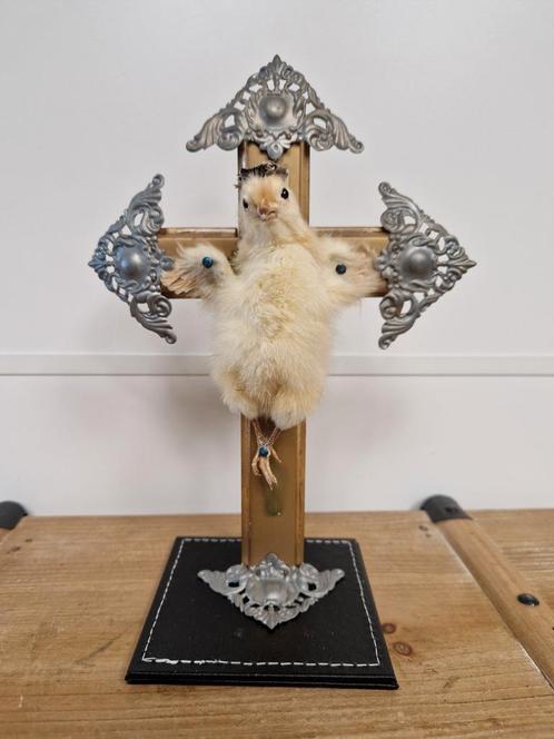 Holy chick, Collections, Collections Animaux, Enlèvement ou Envoi