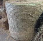 Hooi, Dieren en Toebehoren, Dierenvoeding, Ophalen, Vee