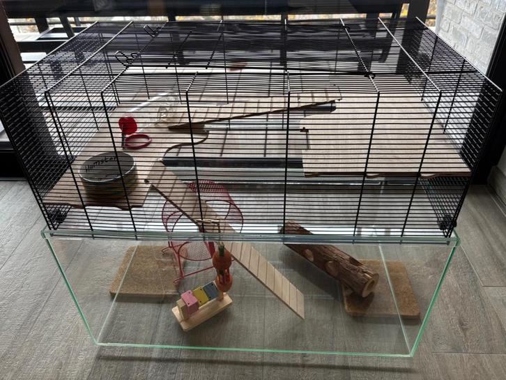 Grote hamsterkooi, Dieren en Toebehoren, Knaagdieren en Konijnen | Hokken en Kooien, Zo goed als nieuw, Kooi, 60 tot 90 cm, 75 tot 110 cm