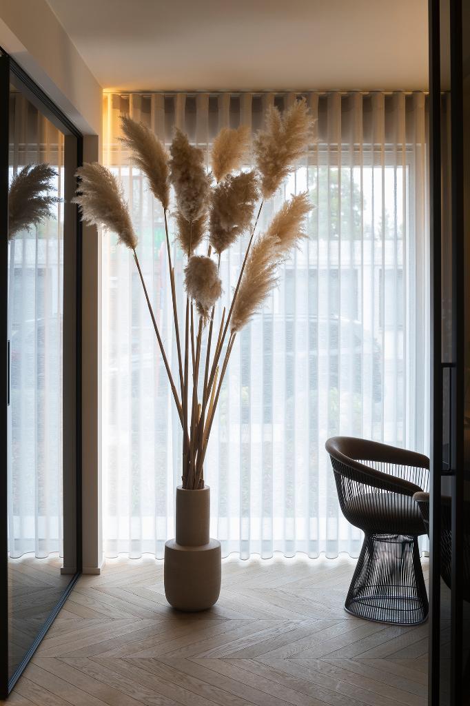 decoratieve pampa's, Maison & Meubles, Accessoires pour la Maison | Fleurs séchées, Comme neuf, Enlèvement