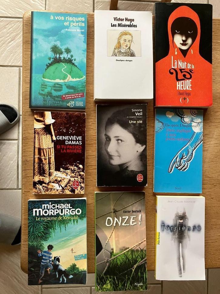 roman, Boeken, Romans, Gelezen, Europa overig, Ophalen of Verzenden