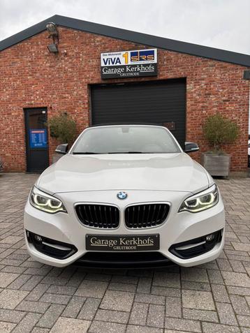 Bmw 220d cabrio topstaat beschikbaar voor biedingen