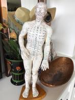 poupée méridienne d'acupuncture avec support 50 cm, Antiquités & Art, Curiosités & Brocante, Enlèvement ou Envoi
