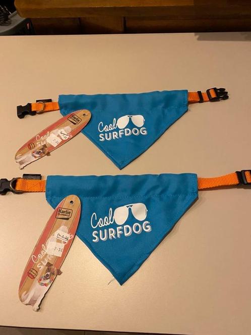 Halsband met toffe bandana aan outletprijs., Dieren en Toebehoren, Hondenhalsbanden en Penningen, Nieuw, Ophalen of Verzenden