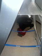 Ladder, Doe-het-zelf en Bouw, Ladders en Trappen, Ophalen, Ladder