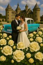location oldtimer mariage avec chauffeur, Avec chauffeur, Voiture de mariage