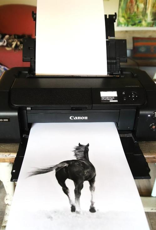 canon, Computers en Software, Printers, Zo goed als nieuw, Fotoprinter, Inkjetprinter, Kleur printen, Zwart-en-wit printen, Ingebouwde Wi-Fi