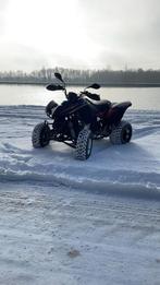 Quad Kymco maxxer 300cc, Motoren