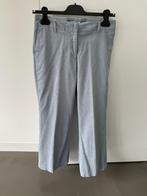 Blauwe fluwelen broek van JBC maat 36, Kleding | Dames, Broeken en Pantalons, Blauw, JBC, Ophalen of Verzenden, Zo goed als nieuw