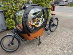 Splinternieuwe bakfiets Baboe city Mountain, Fietsen en Brommers, 2 zitjes, Nieuw, Dubbele standaard, Ophalen