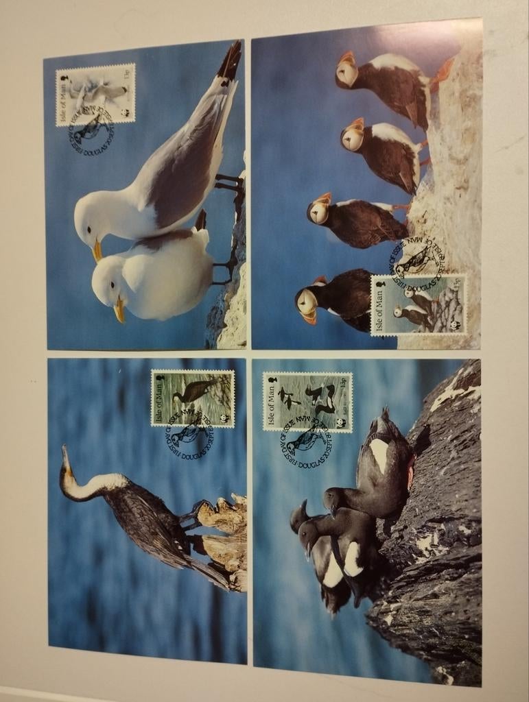 4 wwf postzegelkaarten over vogels kleur verschillende kleur, Collections, Cartes postales | Animaux, Enlèvement
